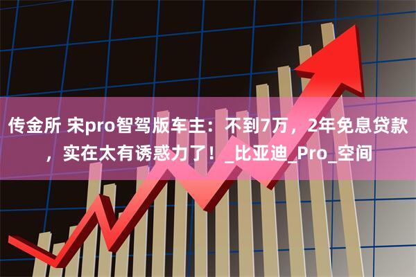 传金所 宋pro智驾版车主：不到7万，2年免息贷款，实在太有诱惑力了！_比亚迪_Pro_空间