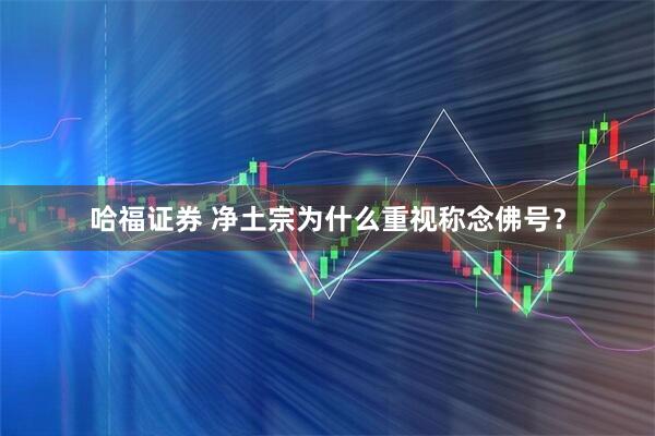 哈福证券 净土宗为什么重视称念佛号？